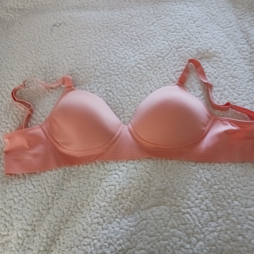 Hanes bra